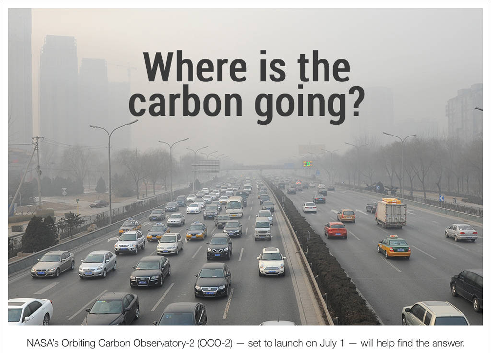 Where is the Carbon Going?