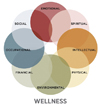 The Eight Dimensions of Wellness (Photo Credit: Substance Abuse and Mental Health Services Administration (SAMHSA), an agency within the U.S. Department of Health and Human Services | samhsa.gov)