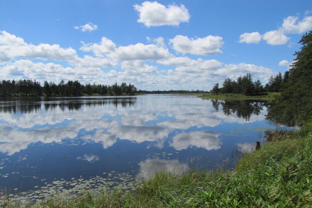 Still water and greenery (Photo Credit: U.S. Fish and Wildlife Service Midwest Region)