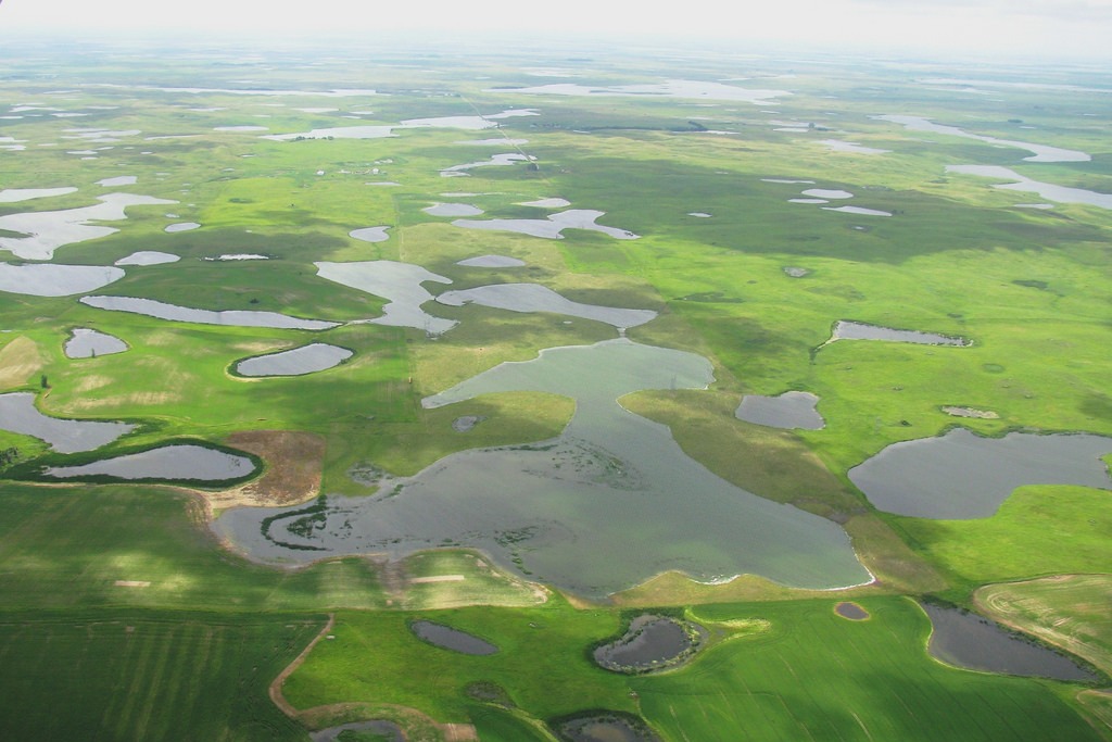 Wetlands and their plants (Photo Credit: U.S. Fish and Wildlife Service)
