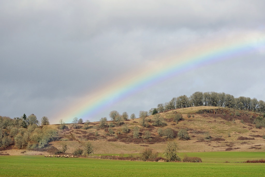 rainbow (Photo Credit: George Gentry, U.S. Fish and Wildlife Service)