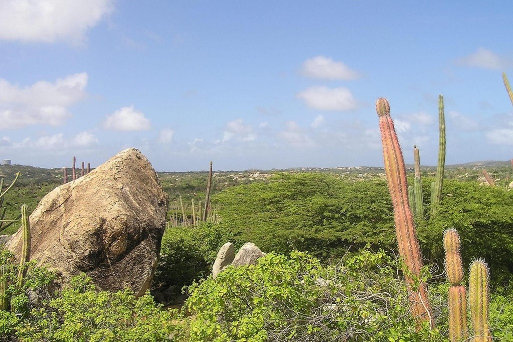 ARUBA: Desert vegetation at Arikok National Park (Photo Credit: Central Intelligence Agency (CIA) - The World Factbook)