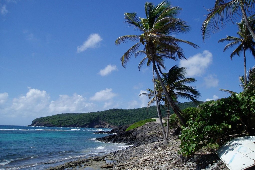 SAINT VINCENT AND THE GRENADINES: The beach of Bequia, one of the larger islands of the Grenadines of St. Vincen (Photo Credit: Central Intelligence Agency (CIA) - The World Factbook)