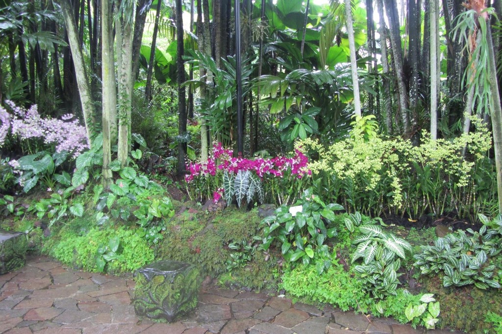 SINGAPORE: Orchids in the National Orchid Garden in Singapore (Photo Credit: Central Intelligence Agency (CIA) - The World Factbook)