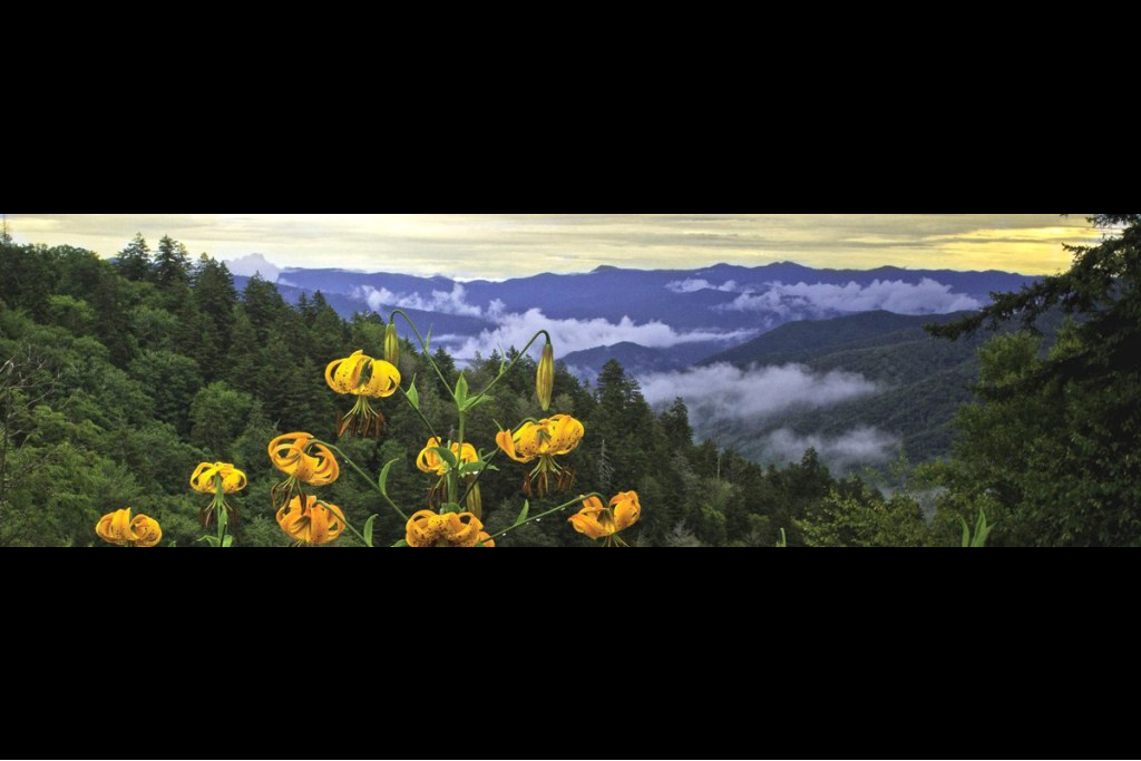 23 of 50 - Great Smoky Mountains National Park (Gatlinburg, TENNESSEE 37738 ) Photo Credit: National Park Service, United States Department of the Interior.