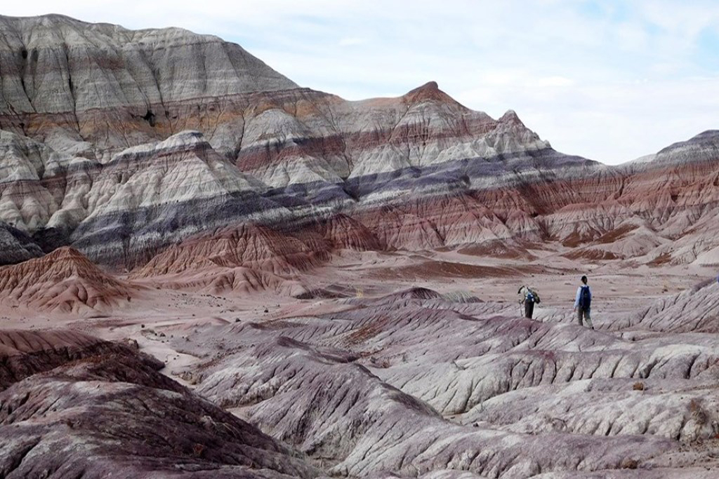 37 of 50 - Petrified Forest National Park (Petrified Forest, ARIZONA 86028) Photo Credit: National Park Service, United States Department of the Interior.