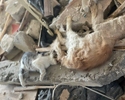 A 9-storey house in Serhiivka settlement in Bilhorod-Dnistrovskyi Raion of Odessa region of Ukraine after Russian missile strike on July 1, 2022. Dead cats.